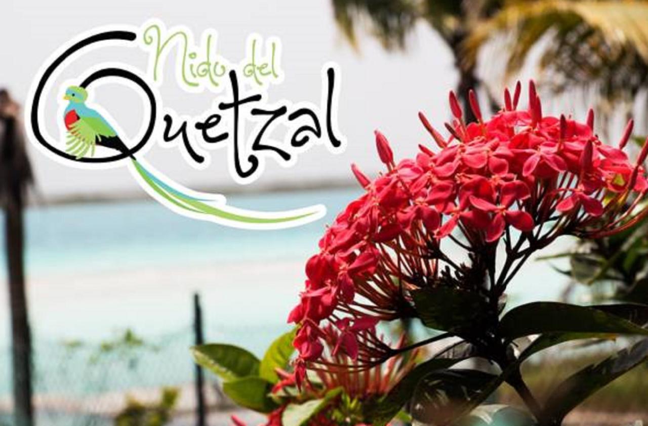 Nido Del Quetzal Bacalar Exterior foto